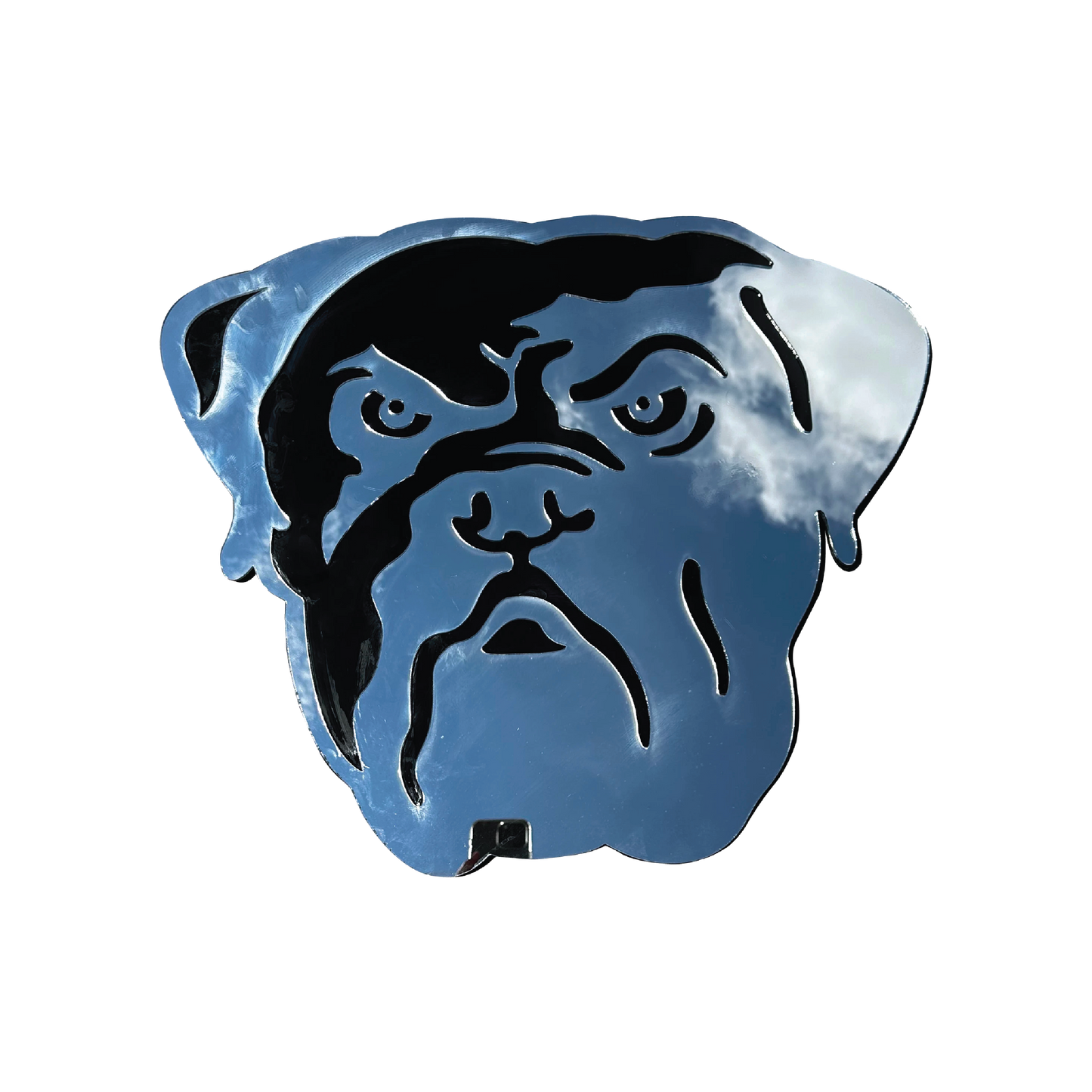 Dawg Mirror