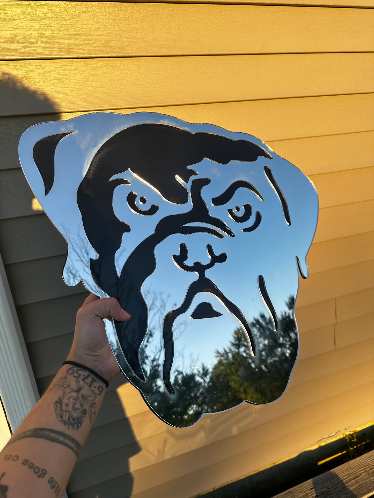 Dawg Mirror